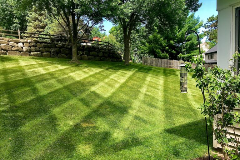 Sunny garden with green lawn and stone wall.